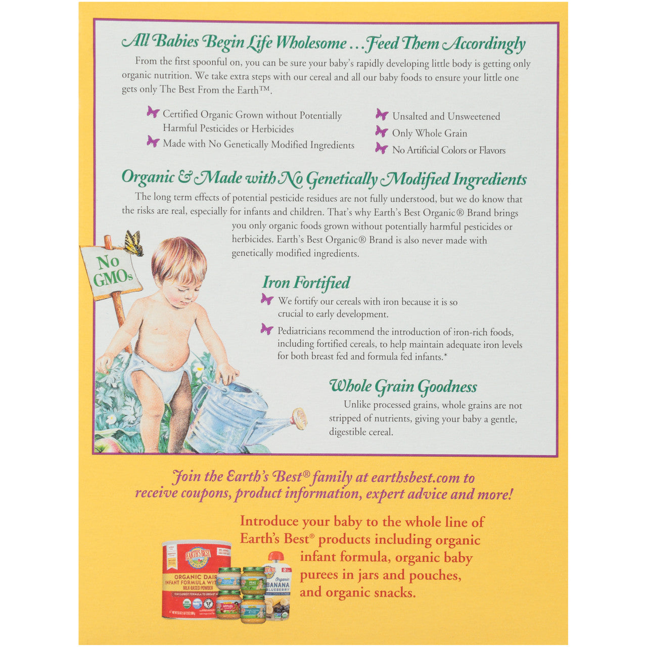 Earth's Best Multi Grain Cereal (12x8 Oz)